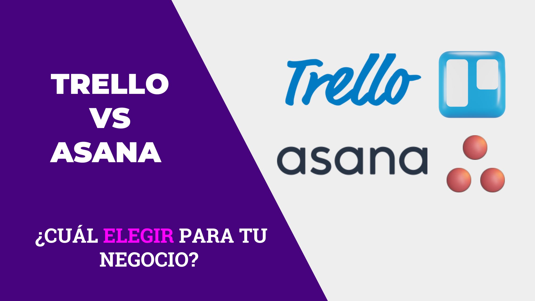 Trello vs Asana Project Manager Digital