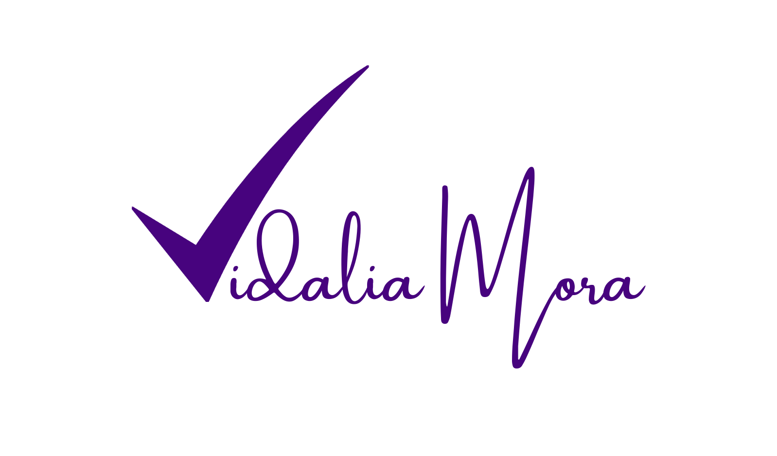 Vidalia Mora Project Manager Digital